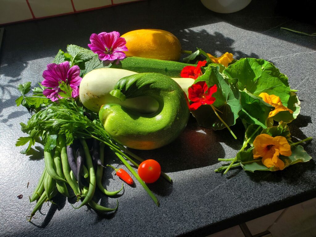 Alte Sorten von Obst und Gemüse