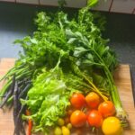 Bild von geerntetem Gemüse