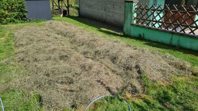 Das Bild zeigt das komplette Beet mit Heu bedeckt