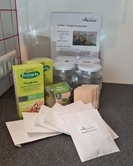 Alle Utensilien, die man zur Sprossenanzucht braucht