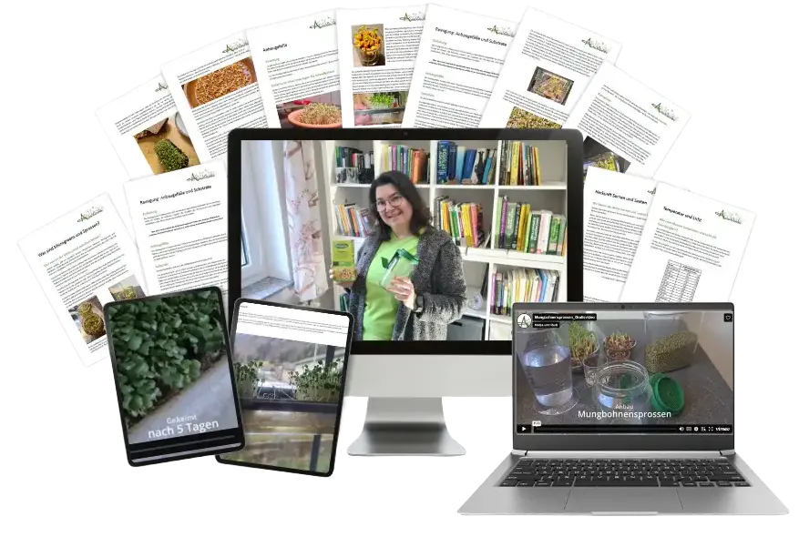 Der komplette Kurs in einem Bild