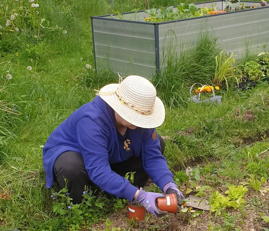 Nadja pflanzt Gemüse