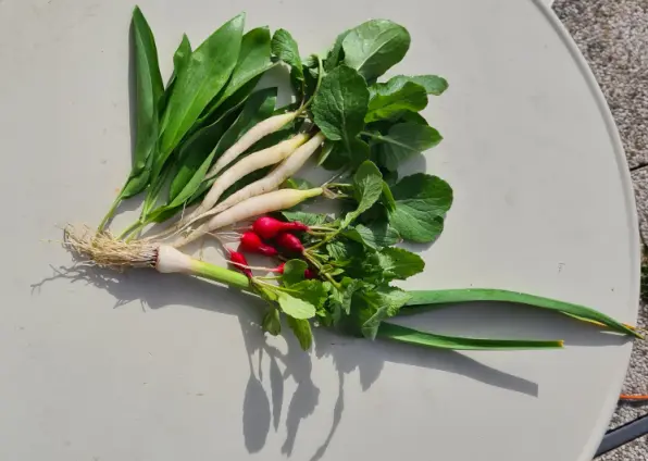 Vieles kann man durch Satzanbau immer wieder ernten, wie das Bild zeigt